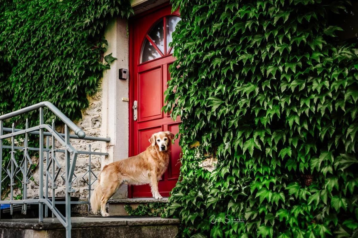 Ferienhaus Rote Sau Herrentierbach Luaran gambar